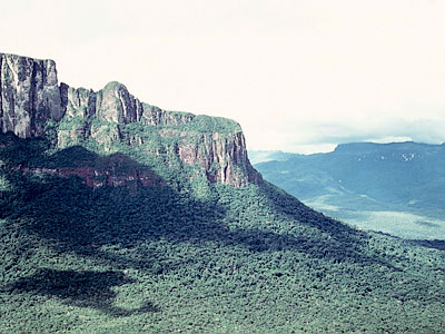 Kopie-von-032_0 Kopie-von-032_0